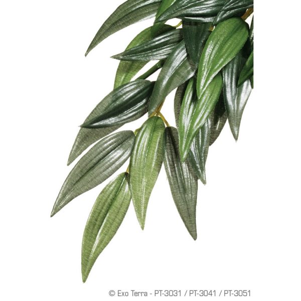 Exo Terra Silk Plant Ruscus Medium, PT3041