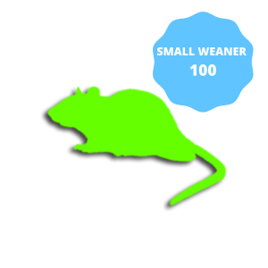 Small Weaner Frozen Rat 100 pack 26-50g