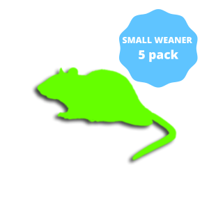 Small Weaner Frozen Rats 5 pack 26-50g